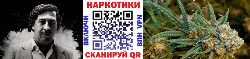 Сколько стоит Тюмень Каннабис LSD-25 ГАШ Alpha PVP Галлюциногенные грибы