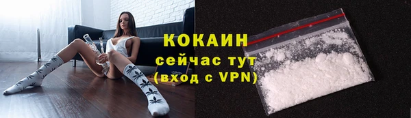 дмт Лиски