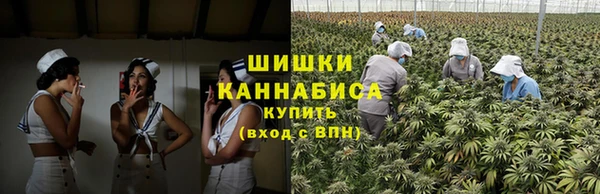 дмт Лиски